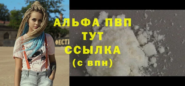 дживик Тобольск