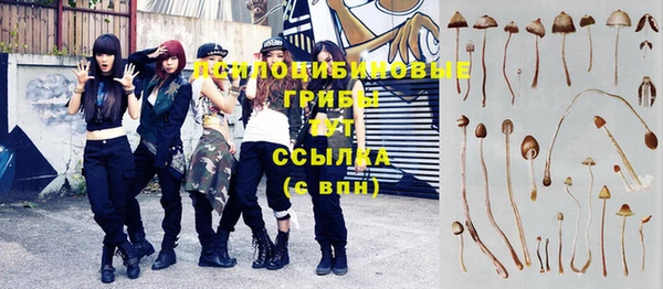 твердый Вязники