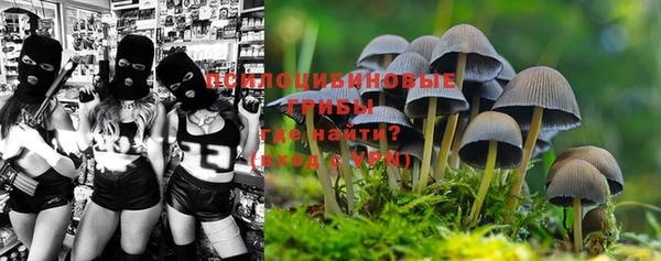 твердый Вязники