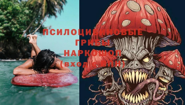 твердый Вязники