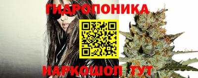 стафф Пушкино