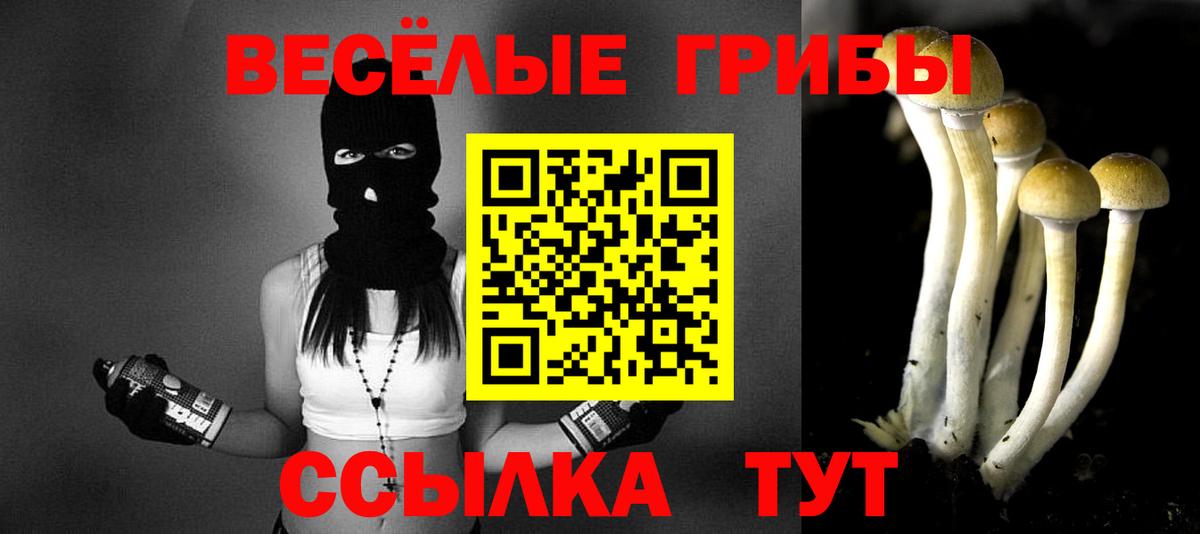 Галлюциногенные грибы прущие грибы Снежинск