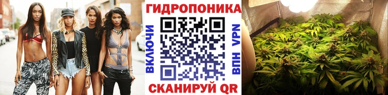 KRAKEN как войти Снежинск Конопля Bruce Banner